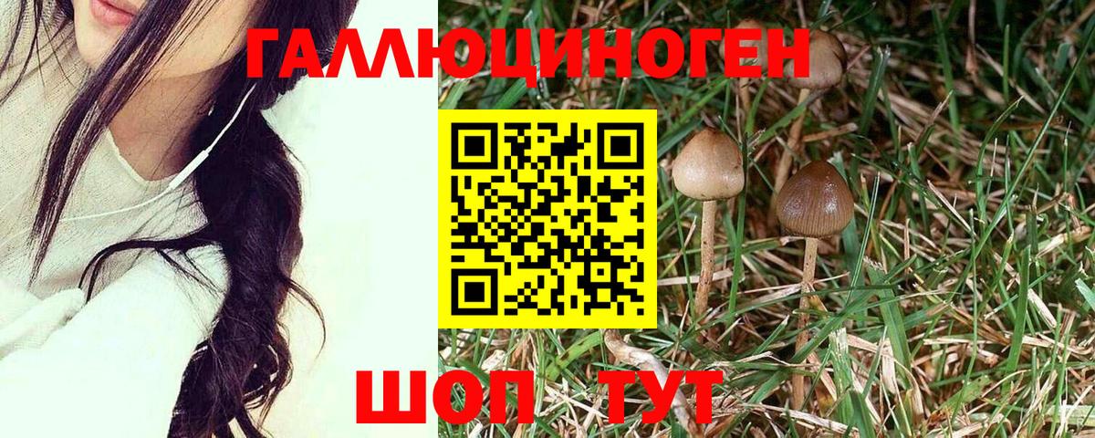 сколько стоит  Галлюциногенные грибы GOLDEN TEACHER  Вход с VPN  Нягань 